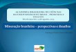 Mineração brasileira perspectivas e desafios - abc.org.br · de 20 anos para dar cabo da tarefa, fora o tempo para realizar as chamadas públicas. ... Slide 1 Author: ELMER Created