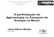 A participação da Agroenergia no Consumo de Energia no Brasil · florestais de da indústria de base florestal ... (logística) •Outras ... e florestal, realizadas na mesma área,