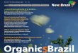 e o primeiro semestre já se acabou - Organis - Conselho ...organis.org.br/wp-content/uploads/2017/04/NewsBrazil4.pdf · Holanda apresenta forte crescimento em volume de negócios