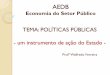 TEMA: POLÍTICAS PÚBLICAS - Prof. Walfredo Ferreira · A relação das PP com os Direitos Sociais é intrínseca, passando justamente pela noção e prática da Cidadania. A transformação