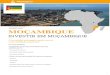 Setembro 2015 MOÇAMBIQUE - Interlusófonainterlusofona.info/wp-content/uploads/2017/09/inv-moz.pdf · Tendo em conta que a Portugal e Moçambique celebraram uma convenção para