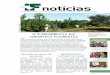 CRIAÇÃO DE NOVA UC REGENERAÇÃO EM BAURUiflorestal.sp.gov.br/files/2013/05/if_noticias_n18.pdf · O Programa de Melhoramento Genético Florestal foi instituído em 12 de abril
