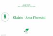 Klabin - Área Florestal Klabin.pdf · PDF fileFlorestal Melhoramento Genético - Eucalipto Melhoramento Genético - Pinus Nutrição e Silvicultura Biotecnologia Clonagem Fitossanidade