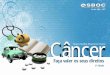 Gestão 2005 - 2007 - Unidade de Apoio ao Portador de Câncer · Saúde como Direito de Todos 13 2. ... de doenças graves a fazer valer seus direitos. ... a presença de pessoas