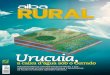 # 07 RURALR U RAL - Aiba | Associação de Agricultores e ...aiba.org.br/wp-content/uploads/2017/06/Revista-Aiba-Rural-Ed.-07... · Colhendo bons frutos do trabalho e do clima 15