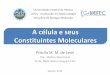 A célula e seus Constituintes Moleculares · •Constituintes moleculares são responsáveis pela interação bioquímica entre moléculas que viabilizam ... formam as membranas