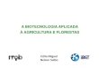 A BIOTECNOLOGIA APLICADA € AGRICULTURA E biotecnologia aplicada  ...  Qual © o papel da biotecnologia