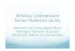 Wireless Underground Sensor Networks (WUSN)grenoble.ime.usp.br/~gold/cursos/2008/movel/slides/wusn.pdf · Na Agricultura são usadas para medir diversas ... para a quantidade exata