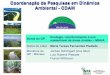 Coordenação de Pesquisas em Dinâmica Ambiental - CDAM · Grupo de Pesquisa “Ecologia, monitoramento e uso sustentável de áreas úmidas – MAUA” GP MAUA - criado em 1985,