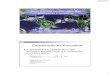 Mato Grosso no Contexto das Mudanças Climáticas · A atmosfera é a camada de ar que envolve o planeta Terra, e é constituída por vários gases. 2 •Nitrogênio (N 2)----- 78%