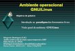 Ambiente operacional GNU/Linux - INPE/LAC - Laboratório ...margarete/download/ELAC2007/Elac2007GnuLinux.pdf · O GNU / Linux é um sistema operacional de código ... Kurumin Linux