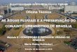 Oficina Técnica AS ÁGUAS PLUVIAIS E A PRESERVAÇÃO DO ... · Art. 4°- A escala residencial, proporcionando uma nova maneira de viver, própria de Brasília, está configurada