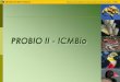 Instituto Chico Mendes de Conservação da Biodiversidade ... · Pressupostos do Projeto Probio II do ICMBio - É o atendimento: a)às dimensões de trabalho da CDB (espécies e ecossistemas);