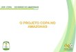 O PROJETO COPA NO AMAZONAS - confea.org.br · infraestrutura bÁsica infraestrutura de transporte infraestrutura aeroportuÁria visual da cidade saÚde pÚblica comunicaÇÃo e marketing