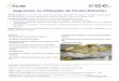 Segurança na Utilização de Pontes Rolantes - media.acib.ptmedia.acib.pt/FORMACAO/ProgramaSegurancaUtilizacaoPontesRolantes.pdf · Segurança na Utilização de Pontes Rolantes