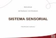 SISTEMA SENSORIAL - editoraopirus.com.br · Sistema sensorial •Sistema relacionado com a percepção de ... Mecanorreceptores: tato/auditivo/pressão ... sentido da audição Apresenta