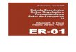 Estudo Econômico Sobre Regulação e Concorrência no Setor ... · BRA/01/801-ANAC-OACI ou de estudos ... operacional, pesquisa, treinamento e administração, como instrumento 