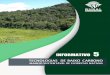 TECNOLOGIAS DE BAIXO CARBONO - s3.amazonaws.com · carbono e conservadoras do meio ambiente. As tecnologias de agricultura ... tem como base o planejamento, nas etapas pré-exploratória,