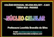 Professora Leonilda Brandão da Silva · •Por isso, a célula-ovo possui 46; em cada par de homólogos, um foi herdado da mãe e outro do pai