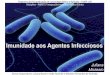 Imunidade aos Agentes Infecciosos - iba.fmrp.usp.briba.fmrp.usp.br/sites/default/files/07_imunidade_contra_agentes... ·