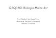 QBQ3401 Biologia Molecular - iq.usp.br · •Em 1944, Avery, MacLeod and McCarthy demonstraram que o DNA carrega a informacao genetica . Desvendando a estrutura do DNA: Chargaff e