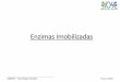 Enzimas Imobilizadas e Reatores Enzimáticos - UFRJ/EQ Grad/EQB483_aula4.pdf · Maior uso de enzimas imobilizadas é na produção de xaropes de ... Vantagens e Desvantagens ... ESCOLHA