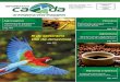 Agricultura 5 de setembro Dia da Amazônia - camda.com.br (2... · AgronegócioAgronegócio_ 003 Exportações do agronegócio somam US$ 52,8 bilhões As vendas externas brasileiras