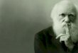 A Teoria da Evolução de Darwin - Bio-Neuro Psicologia ...bio-neuro-psicologia.usuarios.rdc.puc-rio.br/assets/teoria... · Medalha Darwin-Wallace Sociedade Lineana de Londres 