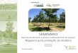 SEMINÁRIO · SEMINÁRIO Rega de povoamentos arbóreos tradicionalmente de sequeiro Nogueira para produção de madeira António Nora Célia Barbosa 19 de Abril de 2018