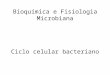 [PPT]Bioqu­mica e Fisiologia Microbiana - T©cnico .Web viewBioqu­mica e Fisiologia Microbiana