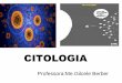 CITOLOGIA · existência de células nos animais e nos ... • Retículo endoplasmático granular e agranular • Complexo de Golgiense • Lisossomos • Peroxissomos