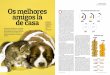INVESTIGAÇÃO Animais de estimação Os melhores O amigos lá ...na2.voxco.com/Media/1049/article domestic pets panel portugal.pdf · parasitas externos, a maior ameaça são as
