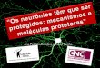 Ana Patrícia Coimbra e David Cunha - cienciaviva.pt neurónios têm que ser protegidos... · de rato – 9 e 10 de Julho 6. Contagem de células viáveis com TrypanBlue para cálculo