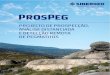 prospeg.orgprospeg.org/wp-content/uploads/2017/06/livro-prospeg.pdf · Título PROSPEG – Projecto de prospecção, análise distanciada e detecção remota de pegmatitos Edição