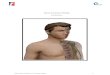 Manual de Anatomia e Fisiologia cefad/ARTROLOGIA CEFAD MANUAL ANATOMIA.pdf · Relacionar e definir as terminologias de anatomia e fisiologia por sistema corporal; 3. Reconhecer as