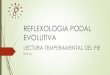 REFLEXOLOGIA PODAL EVOLUTIVA - Centro Personality .REFLEXOLOGIA PODAL EVOLUTIVA es una t©cnica que