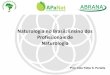 Naturologia no Brasil: Ensino dos Profissionais de Naturologia · Projeto Integrado II Psicopatologia Projeto Integrado I Estágio Supervisionado IV 520 Estágio Supervisionado II