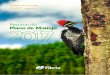 Resumo do Plano de Manejo - fibria.com.br · envolvem o manejo florestal e a cadeia de custódia (CoC), na indústria e a certificação do Sistema de Gestão ISO 9001 (Qualidade)