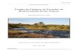 Projeto de Carbono no Corredor de Biodiversidade Emas-Taquari · do Código Florestal Brasileiro, lei 4.771/65, e também aproveitadas para o uso múltiplo não madereiro, ás áreas