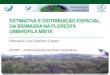 Estimativa e distribuição espacial da biomassa na Floresta ...wiki.dpi.inpe.br/lib/exe/fetch.php?media=ser301-2013:estimativa_e... · • O interpolador inverso do quadrado da distância