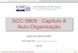 SCC-5809 - Capítulo 8 Auto-Organizaçãowiki.icmc.usp.br/images/5/5c/SCC5809Cap8_2012.pdf · Auto-organizaçãoPCAMapas auto-organizáveis SCC-5809 - Capítulo 8 ... 1 Atividade: