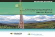 EFICIÊNCIA ENERGÉTICA E - hbjunior19.files.wordpress.com · o objetivo de desenvolver o “Programa Piloto de Conservação de Energia no Meio Rural - Estudo de Caso nas Terras