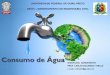 Consumo de Água · ... Dados básicos de setores de abastecimento da RMSP . ... Ocorrem variações de consumo significativas no sistema de abastecimento de água, ... Plano Diretor