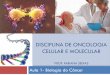 Disciplina de oncologia celular e molecular prof. Fabiana ... 31/01- Aula 8- Anticorpos Monoclonais/Filme