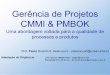 Gerncia de Projetos CMMI & PMBOK - pbetencourt/engsoftIII/Gerencia_de_   cliente e a