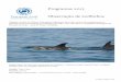 Programas 2015 Observação de Golfinhos progs-AF.pdf · Observação de Golfinhos Programas 2015 Viagem a bordo do Veleiro Catamaran Esperança, de 22,80 metros de comprimento, à