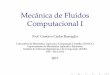 Mecânica de Fluidos Computacional I - lcad.icmc.usp.brbuscaglia/teaching/sme0251_2017/slides/... · Mecanica dos Fluidos Computacional ... considerados como relatorio do grupo. 