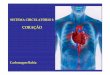 CORAÇÃO - anatomia.icb.ufrj.branatomia.icb.ufrj.br/material/Carlo_Cardiovascular.pdf · GRANDES VASOS da BASE do CORAÇÃO arco da aorta veia cava superior veia cava inferior veias