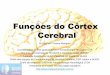 Funções do córtex cerebral - Fonovim · As áreas funcionais do córtex podem ser divididas em: ... •Área de Broca - área 44 de Brodmann localizada no giro frontal inferior,
