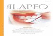 Jornal - Faculdade ILAPEO · iremos apresentar a correta aplicação e emprego da ancoragem ortodôntica, o processo de confecção de próteses dentárias através de usinagem industrial,
